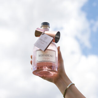 Mirabeau Dry Gin & Jigger Set